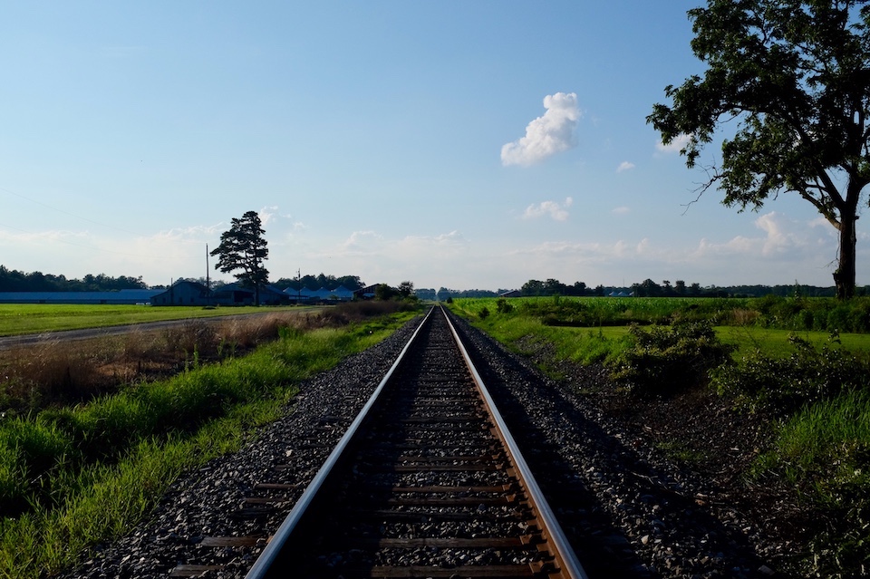 Northern looking train tracks disappearing in the distance.