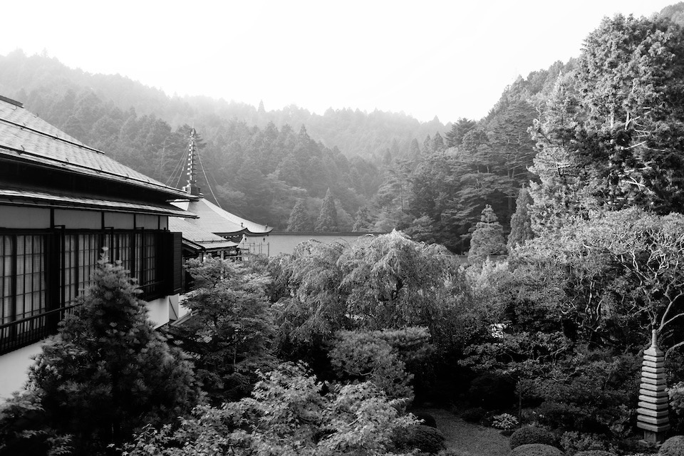 “A view from a second story window, above a courtyard, that looks onto the rising tree lines of a mountain.”