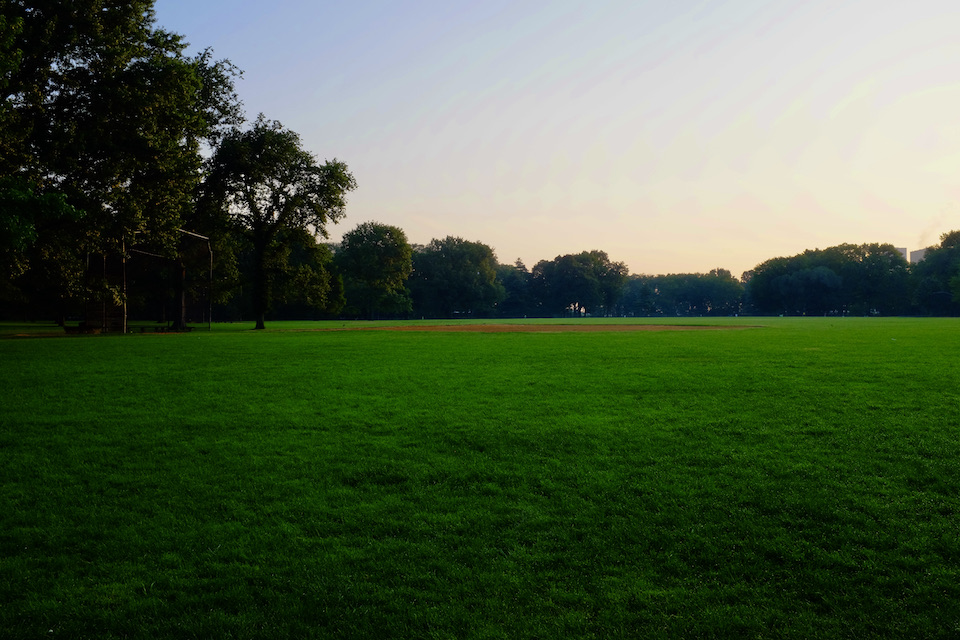 The morning sun rises behind the trees, over a lawn of bright green grass.